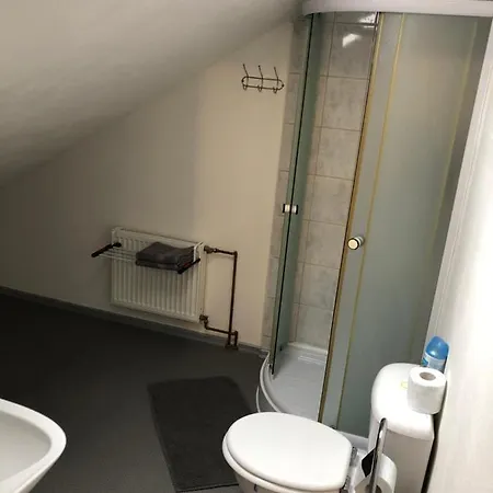 Apartment U Medveda Horni Blatna